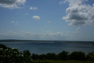 DSC_9090 (Large).JPG